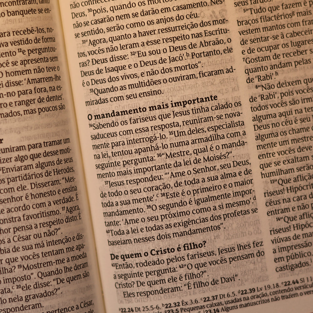 Bíblia Sagrada Com Recursos | NVT | Capa Dura Flores