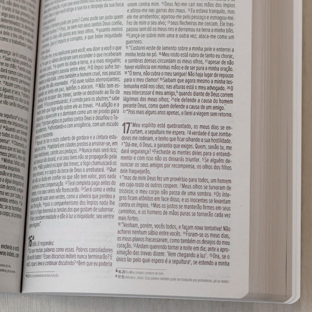 Bíblia no Banquinho  | NVI |  Brochura Evangelize