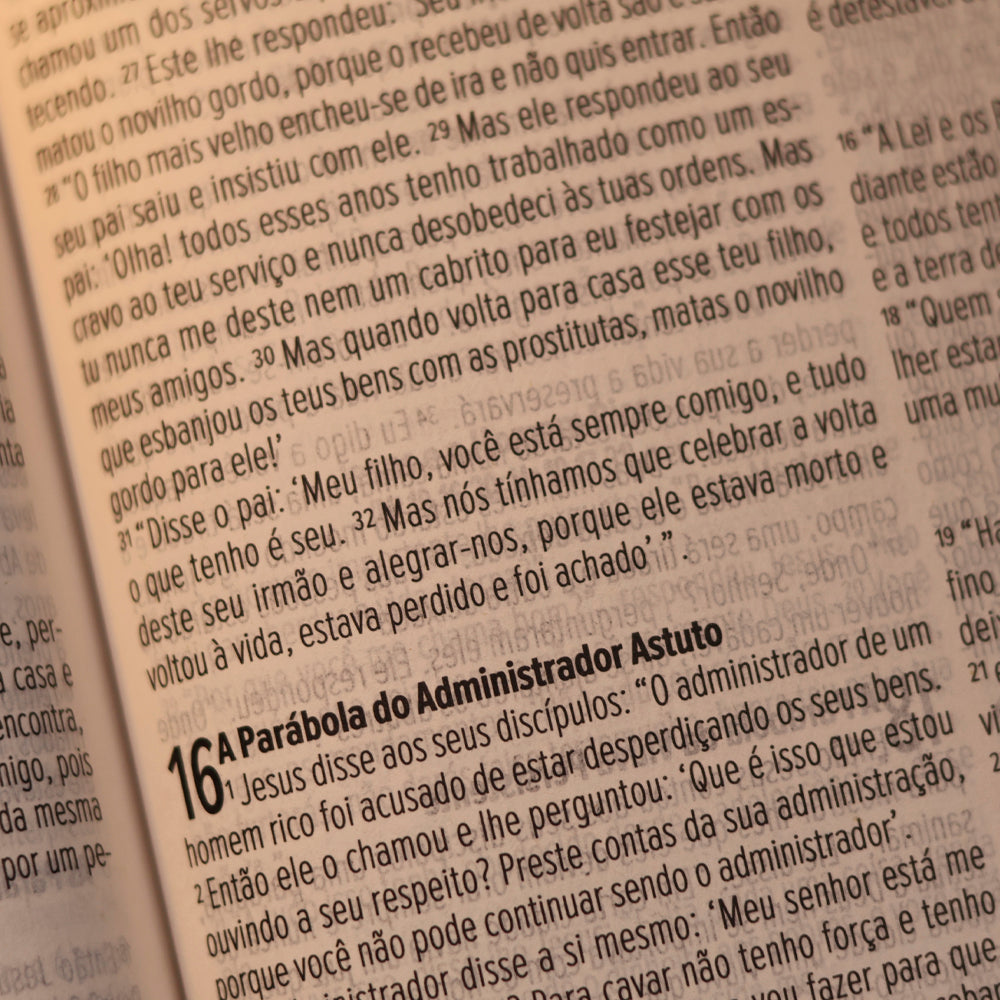 Bíblia Sagrada Slim | NVI | Letra Maior | Capa Luxo Nude