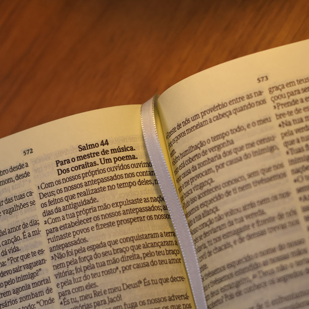 Bíblia NVI Leia e Anote | Letra Grande | Capa Avelã