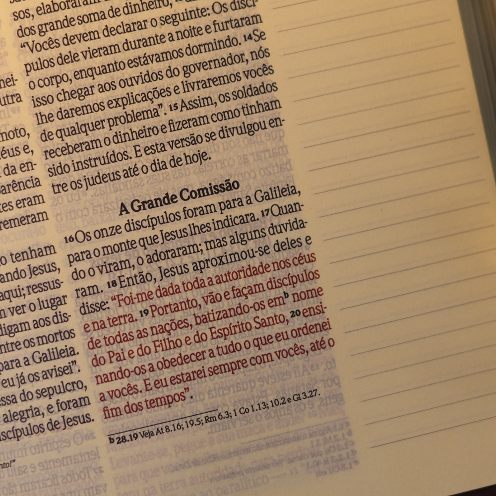 Bíblia NVI Leia e Anote | Letra Grande | Capa Serena