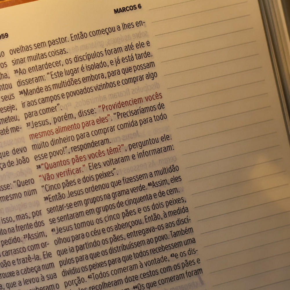 Bíblia NVT Leia e Anote | Letra Grande | Capa Caramelo