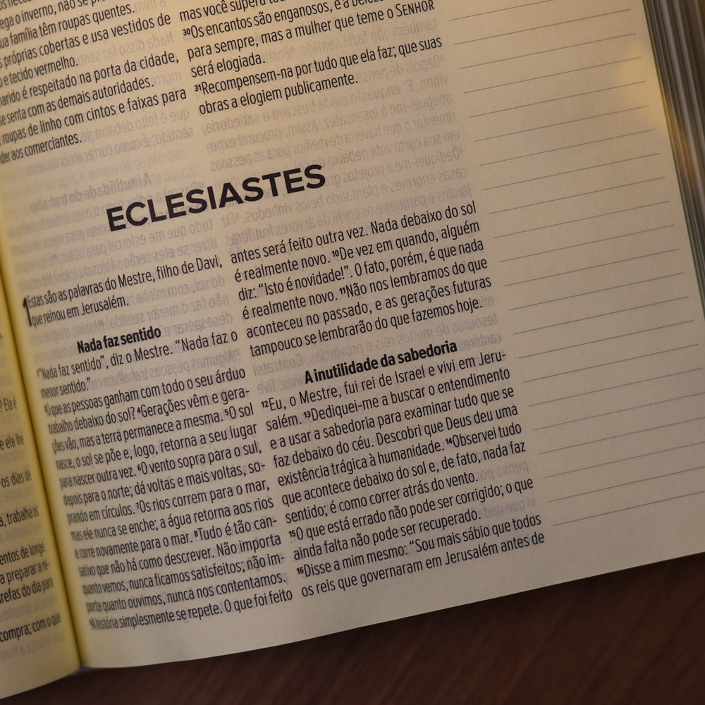 Bíblia NVT Leia e Anote | Letra Grande | Capa Renascer