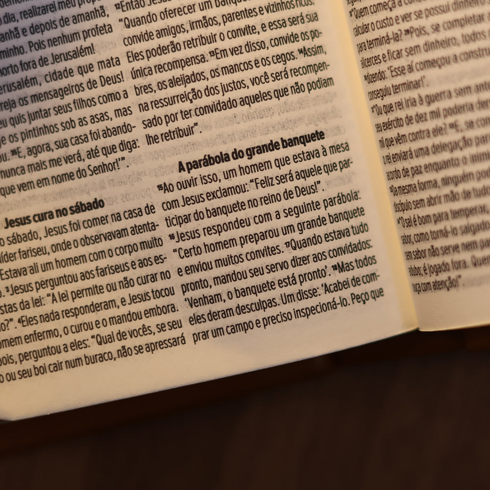 Bíblia Chaveiro Elos | NVT | Capa Dura