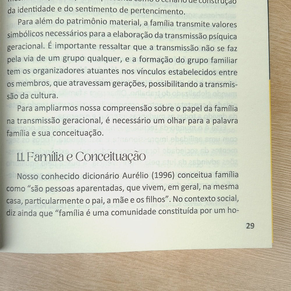 Família, Lugar de Refúgio ou Campo de Batalha? | Ilma Luci Gomes Cunha