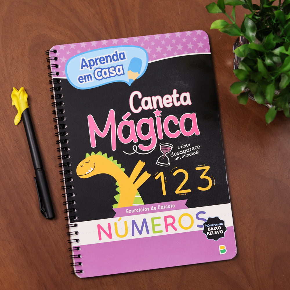 Aprenda em Casa  | Atividade de Cálculo | Números