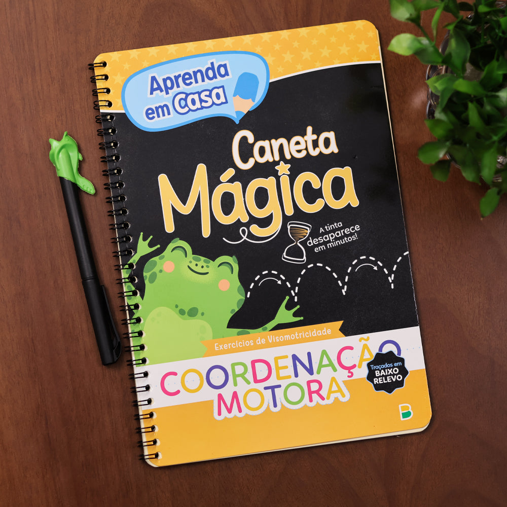 Aprenda em Casa  | Exercícios de Visomotricidade | Coordenação Motora