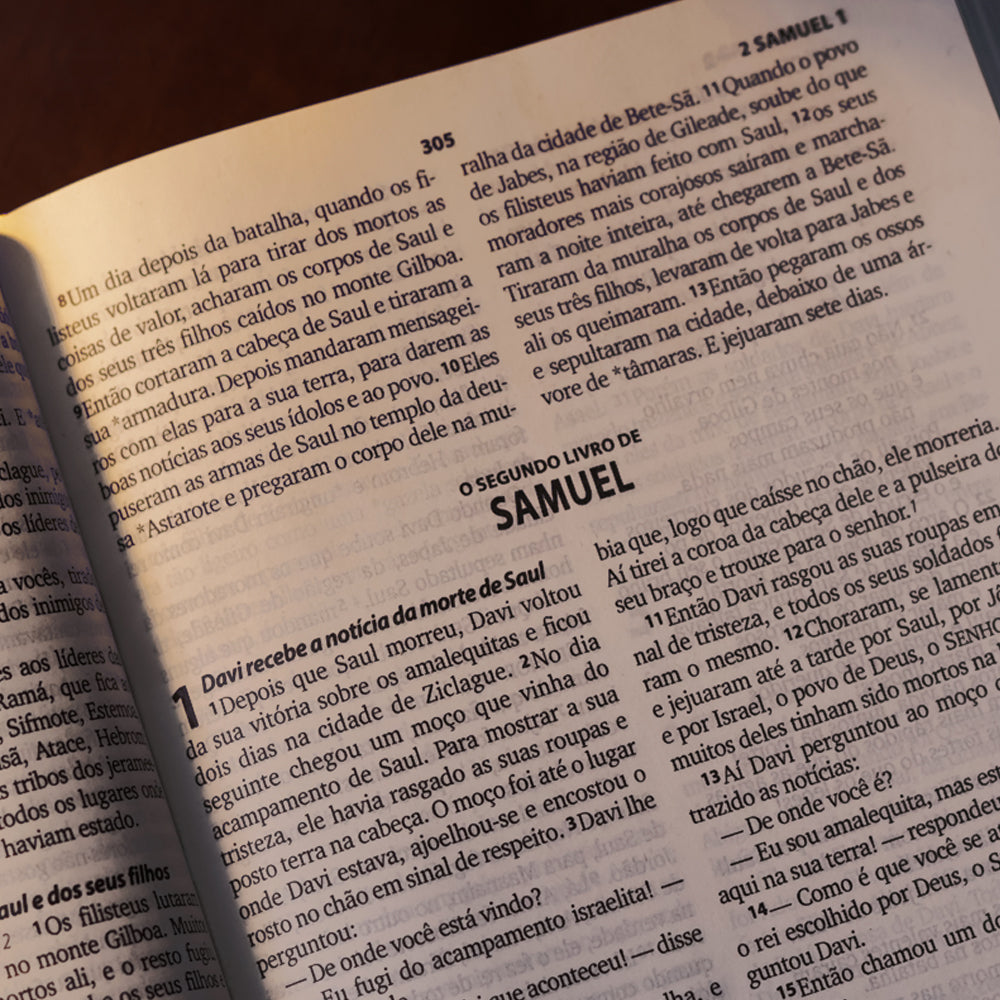 Bíblia Sagrada Flau | NTLH | Letra Maior | Capa Dura Roxa