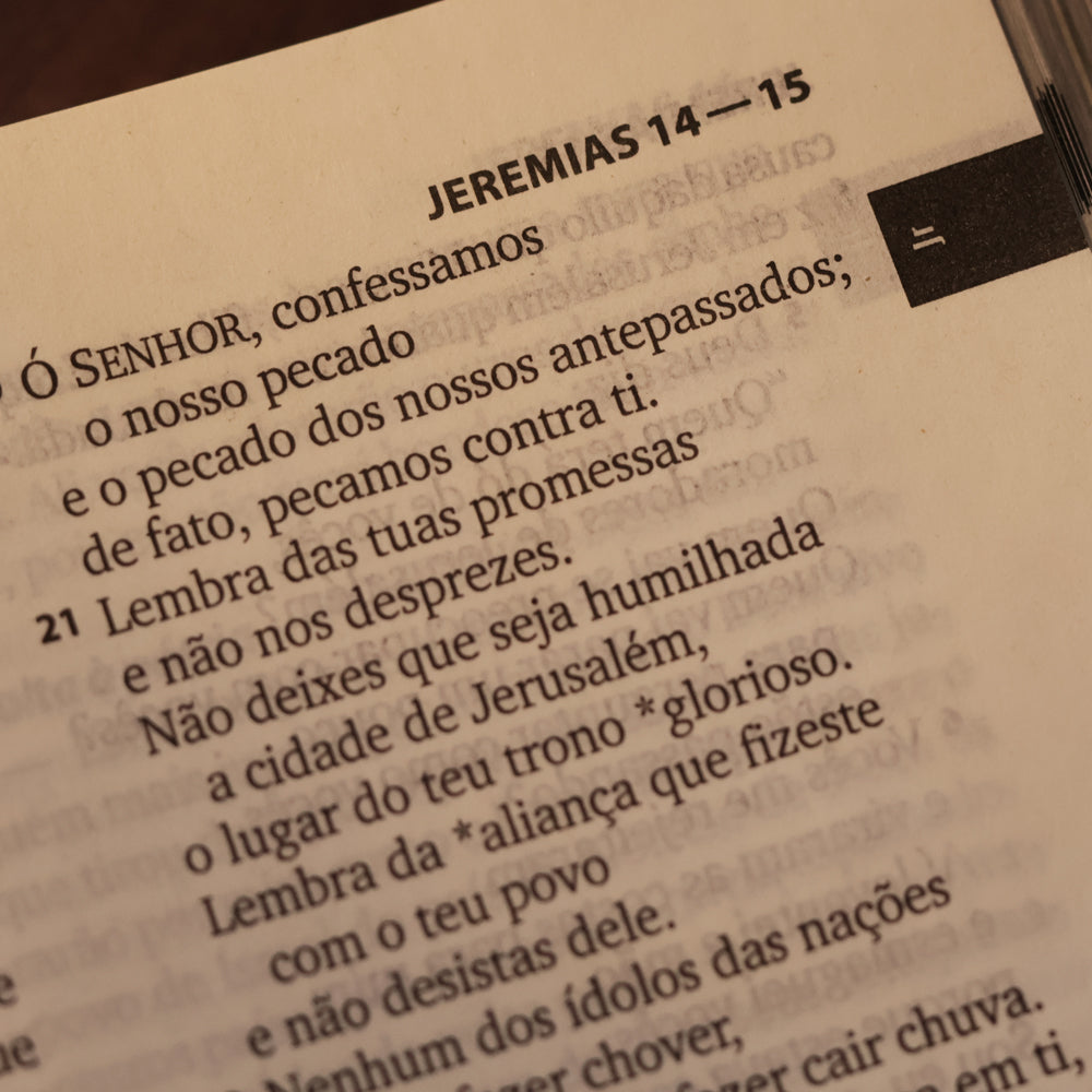 Bíblia Sagrada Flau | NTLH | Letra Maior | Capa Dura Roxa