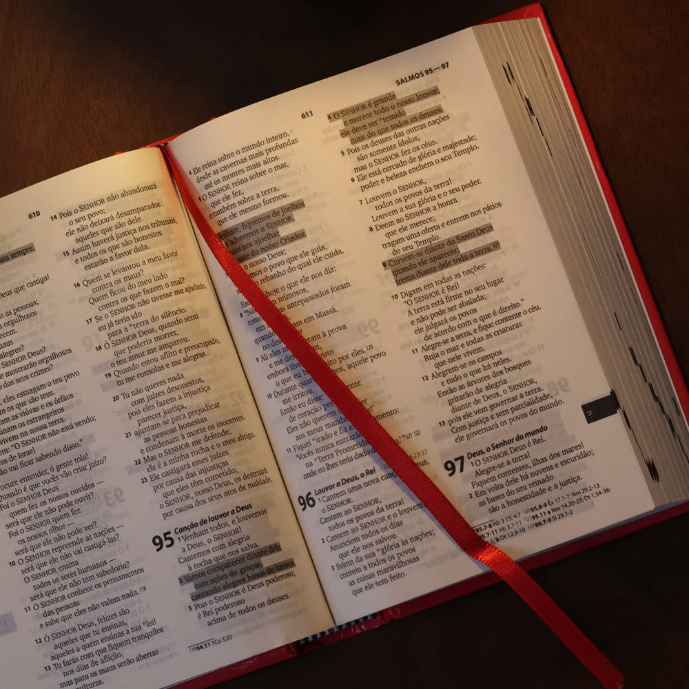 Bíblia Sagrada Faniquita | NTLH | Letra Maior | Capa Dura Vermelha