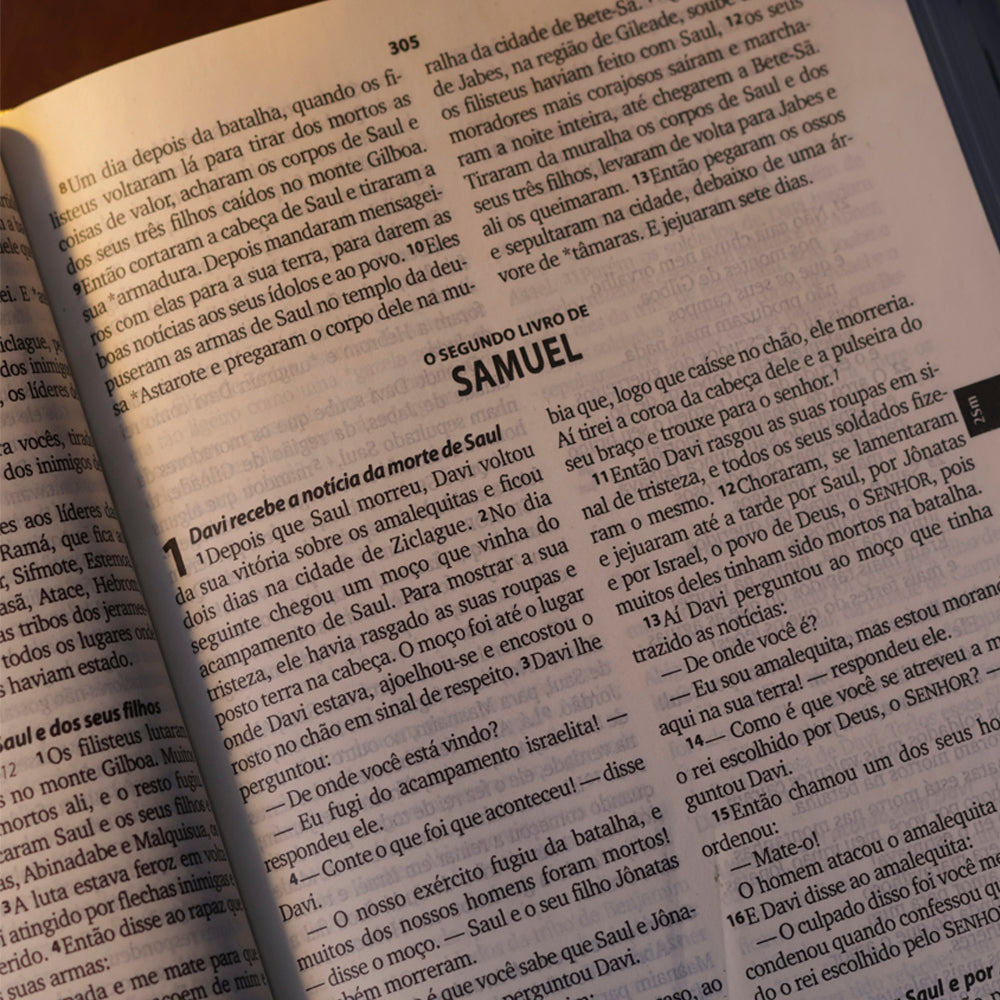 Bíblia Sagrada Faniquita | NTLH | Letra Maior | Capa Dura Colorida