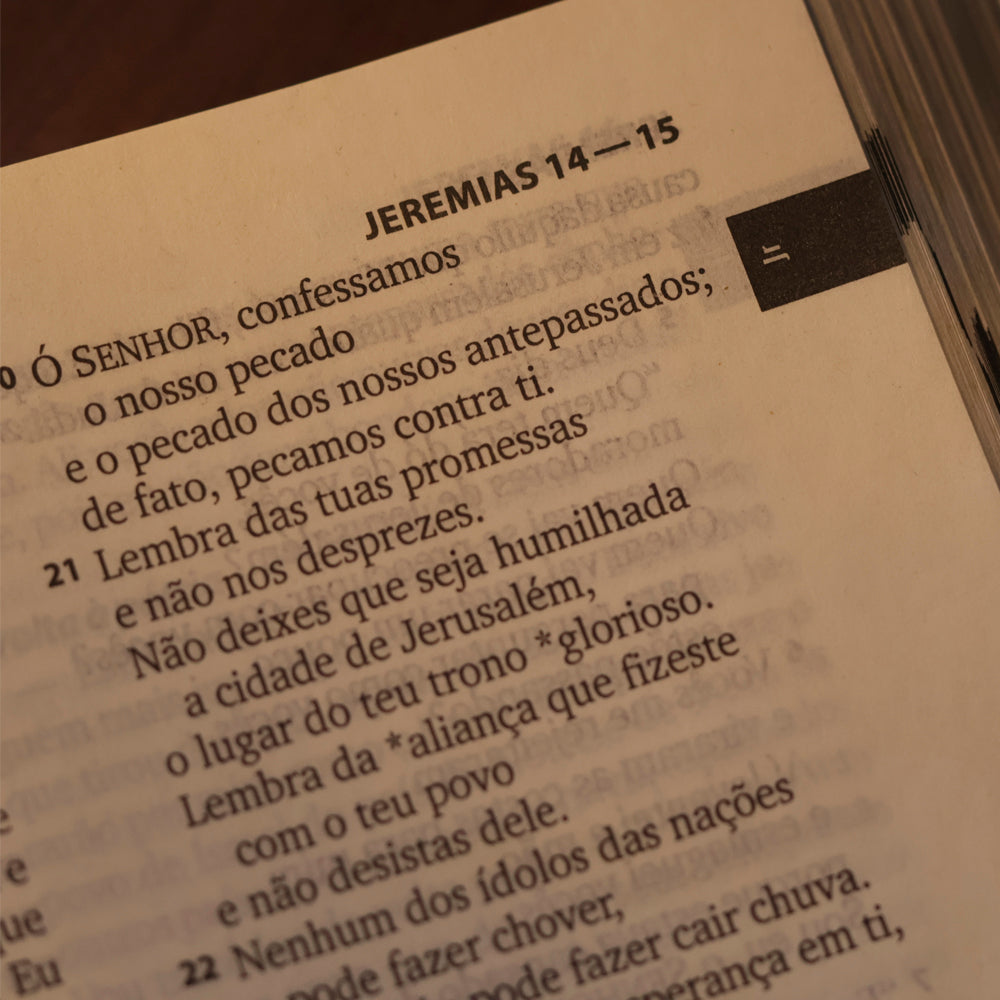 Bíblia Sagrada Faniquita | NTLH | Letra Maior | Capa Dura Colorida