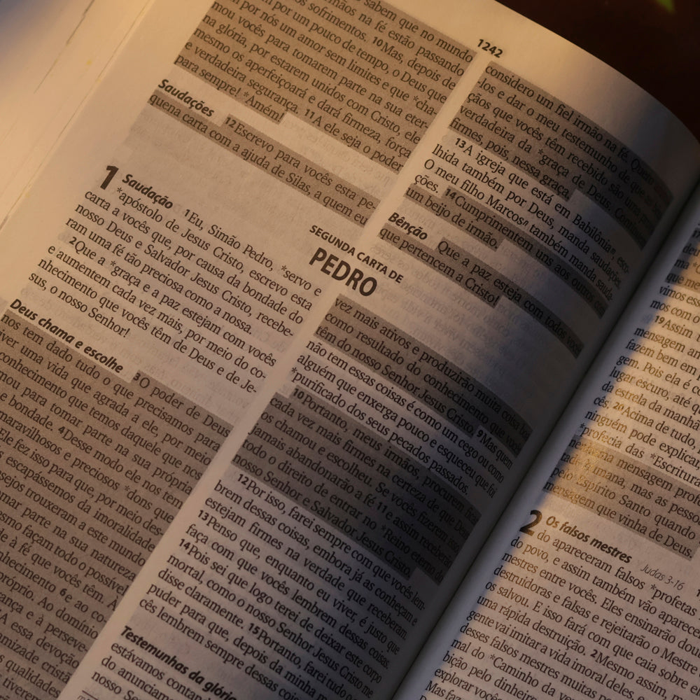 Bíblia Sagrada Faniquita | NTLH | Letra Maior | Capa Dura Colorida