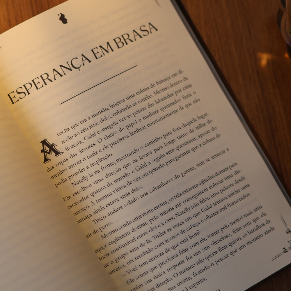 A Jornada Pela Chama | Raquel Beatriz Bretzke