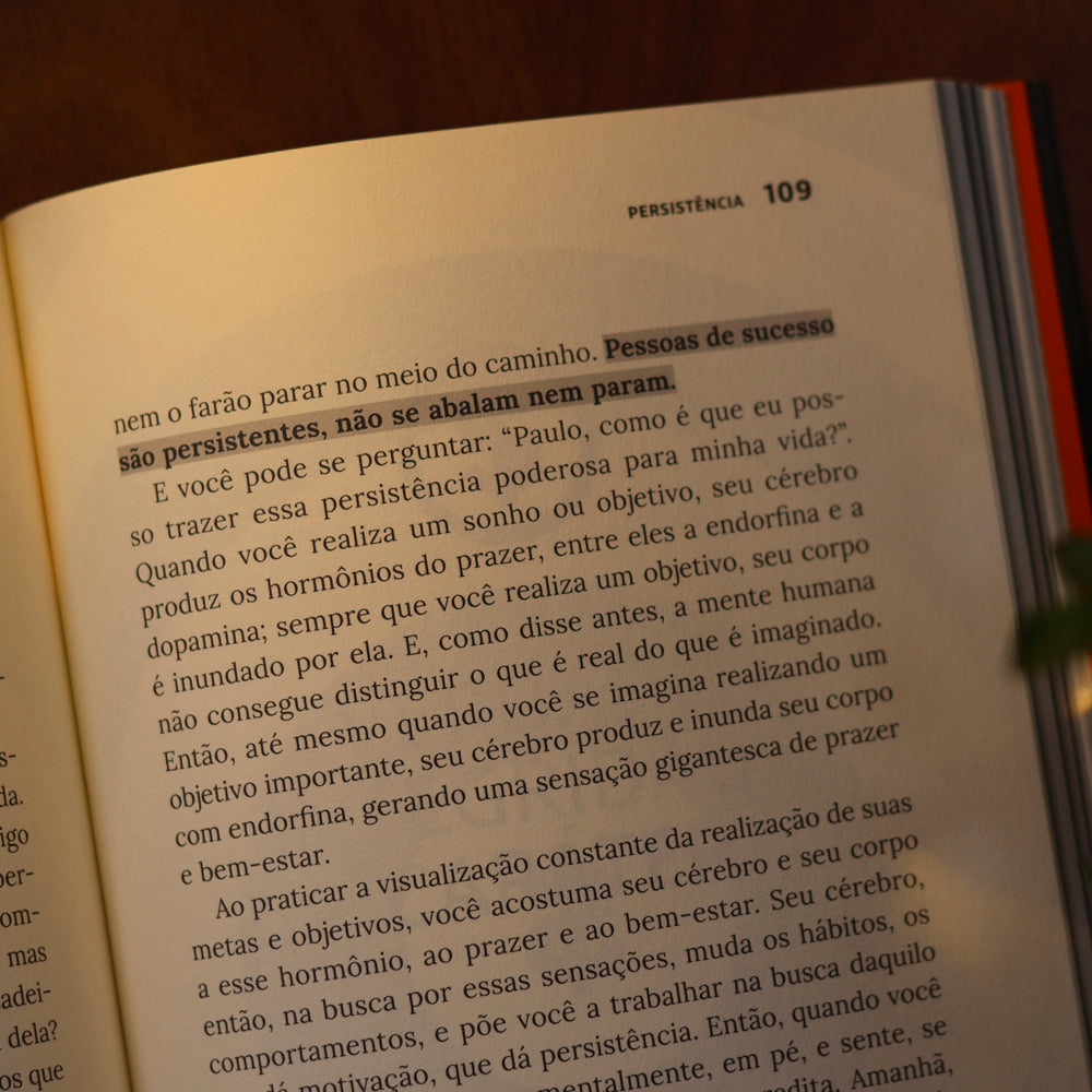 O Poder da Ação nas Finanças | Paulo Vieira