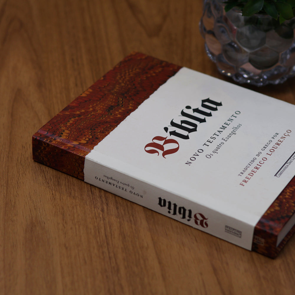 Bíblia |  Vol. 1 | Novo Testamento | Os Quatro Evangelhos