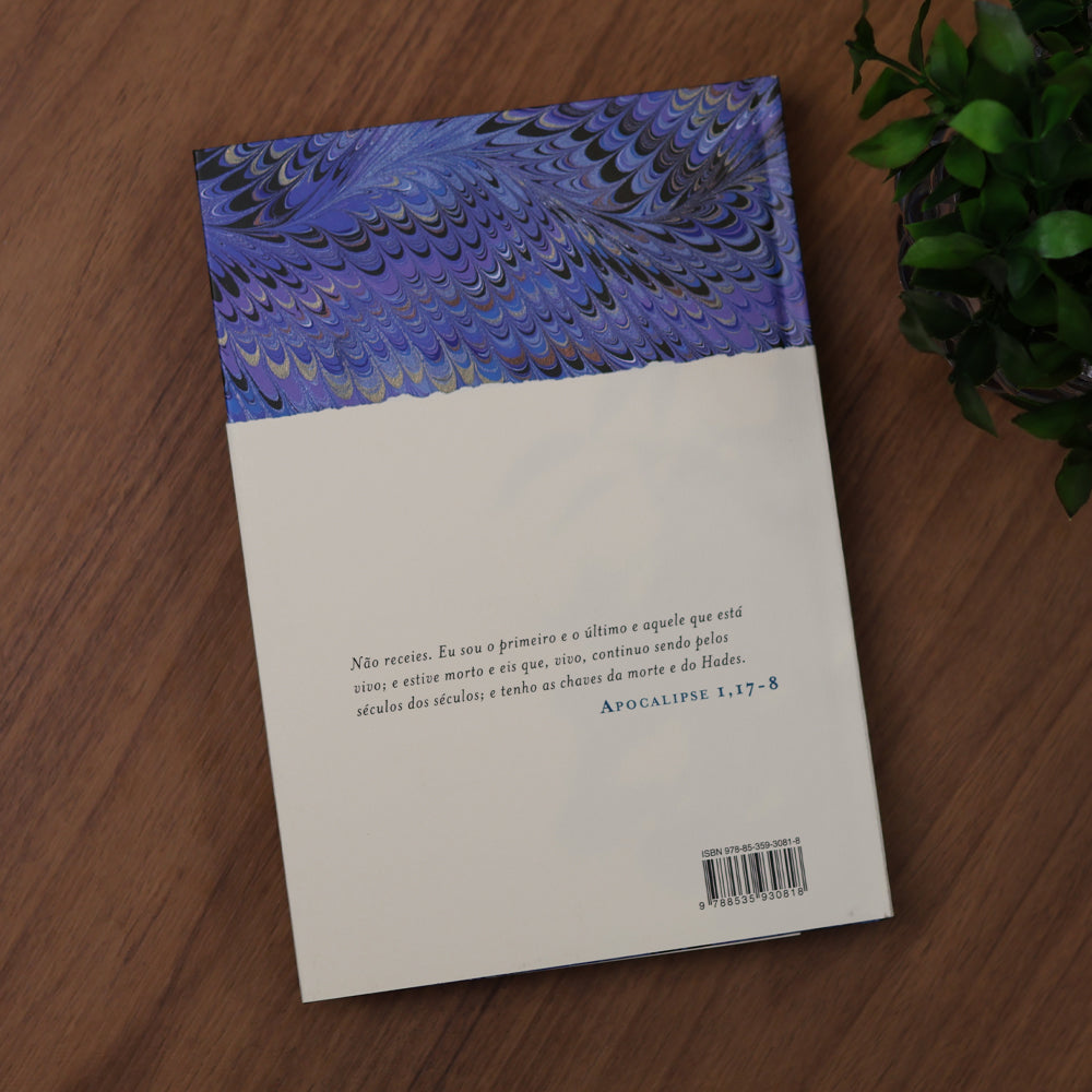 Bíblia | Vol. 2 | Novo Testamento | Apóstolos, Epístolas, Apocalipse