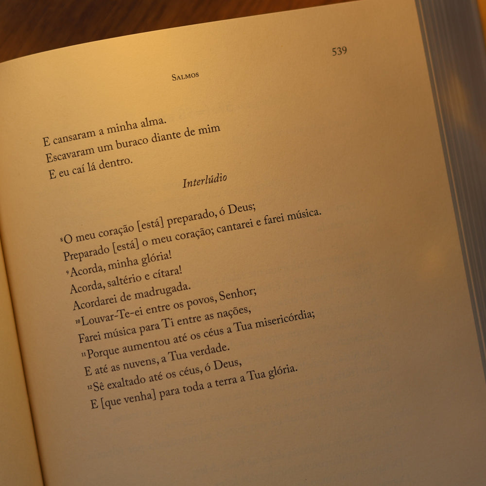 Bíblia | Vol. 5 | Antigo Testamento | Os Livros Sapienciais