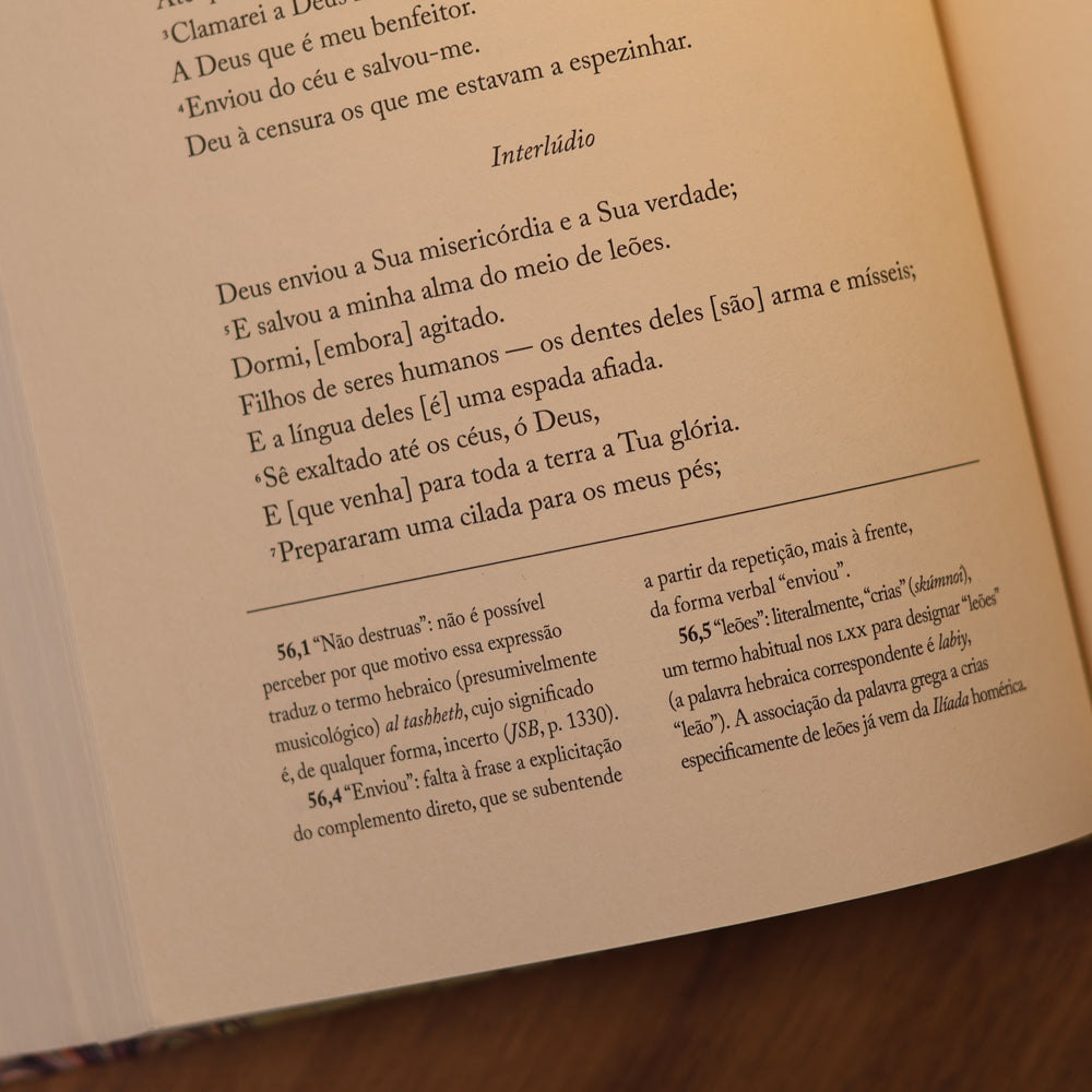 Bíblia | Vol. 5 | Antigo Testamento | Os Livros Sapienciais