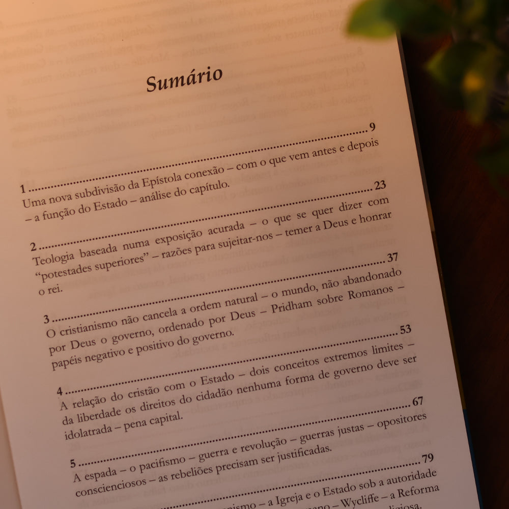 Romanos | Vol. 13 | Vida Em Dois Reinos | D. Martyn Lloyd-Jones
