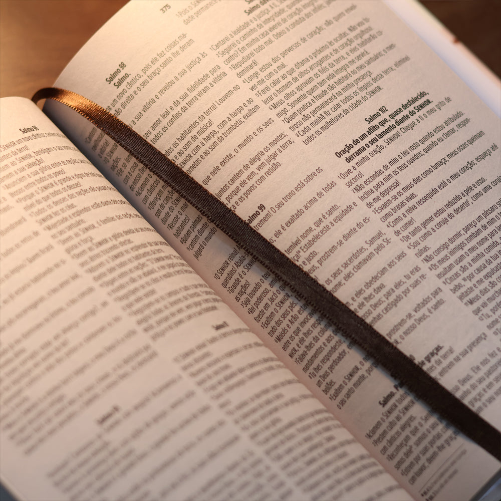 Bíblia Sagrada Cristo Vive Em Mim | NVI | Letra Maior | Capa Dura