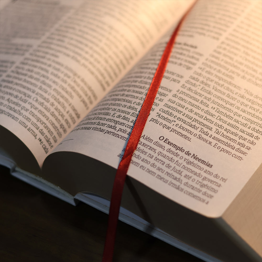 Bíblia Sagrada Floresça | NVI | Letra Grande | Capa Dura