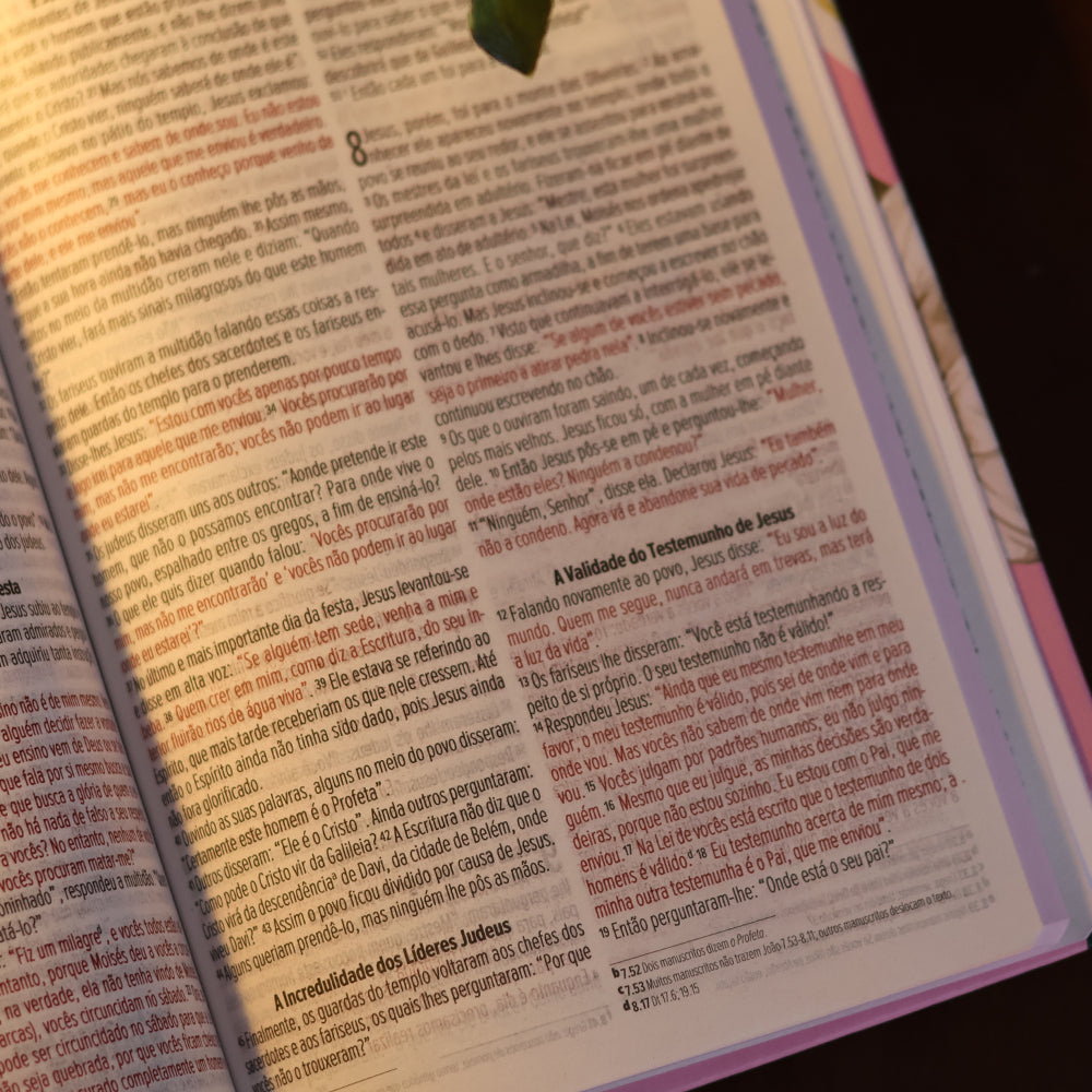 Bíblia Sagrada Lírios Rosa | NVI | Letra Maior | Capa Dura