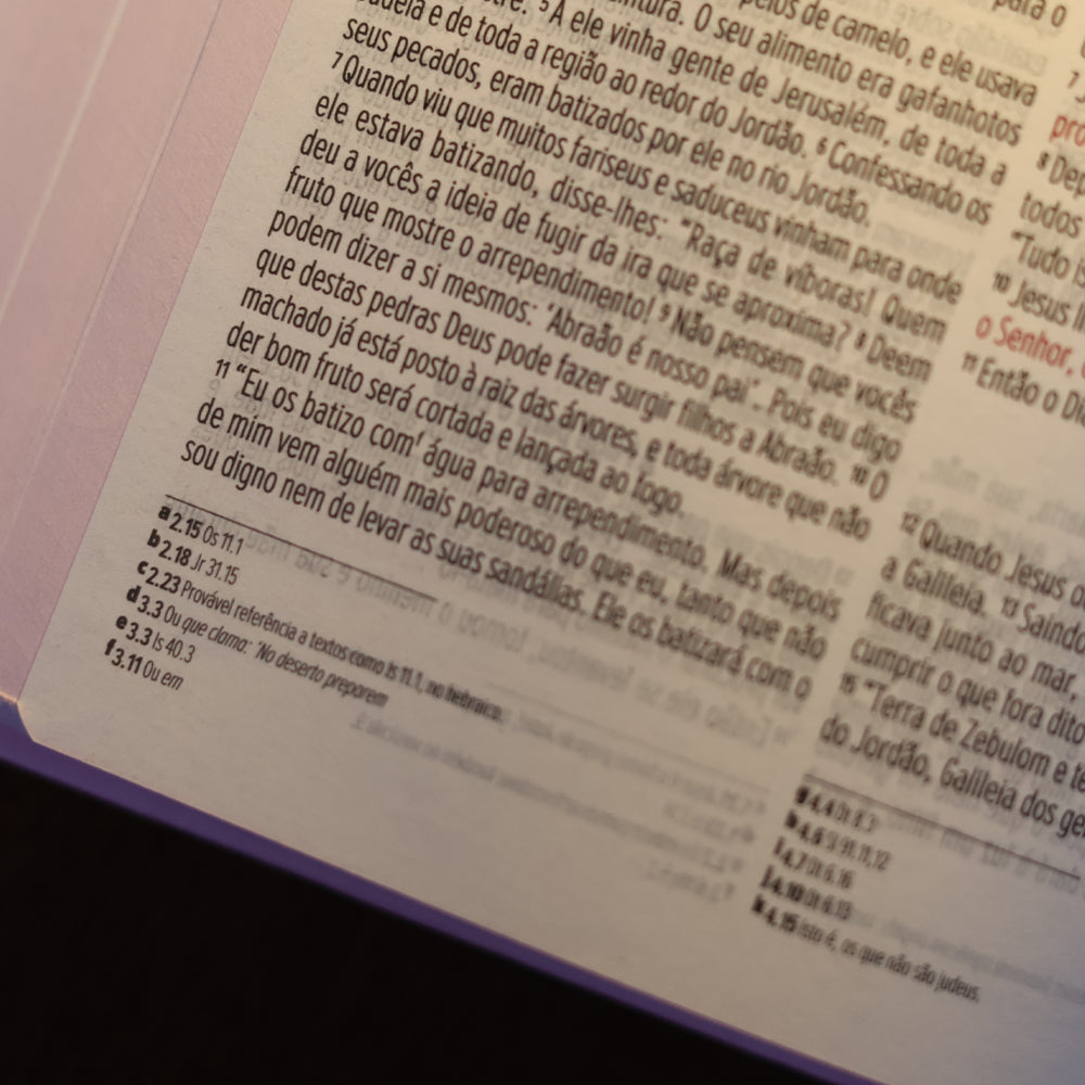 Bíblia Sagrada Lírios Rosa | NVI | Letra Maior | Capa Dura