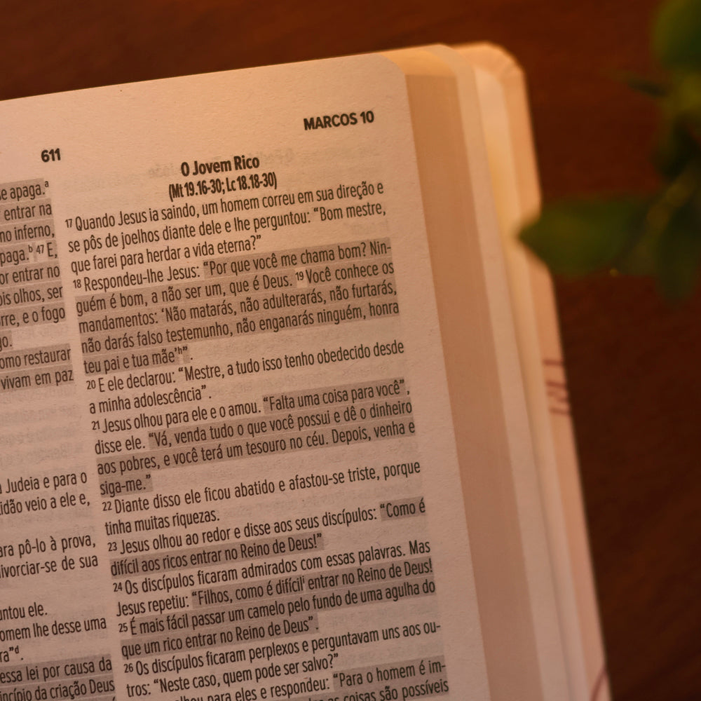 Bíblia Sagrada Flor | NVI | Letra Normal | Capa Dura