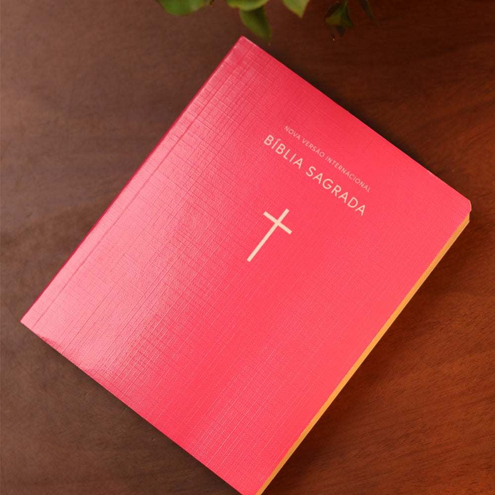 Bíblia Sagrada  | NVI | Capa Brochura Cruz Rosa