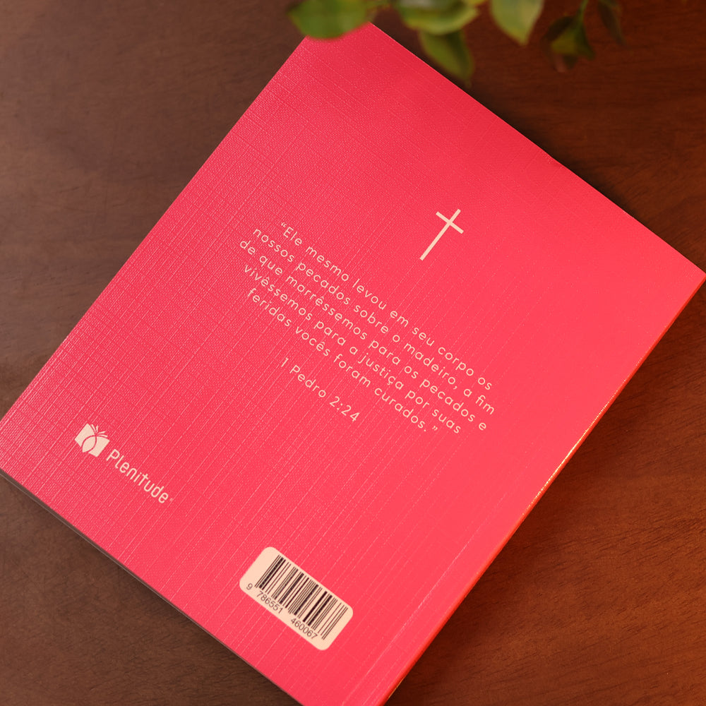 Bíblia Sagrada  | NVI | Capa Brochura Cruz Rosa