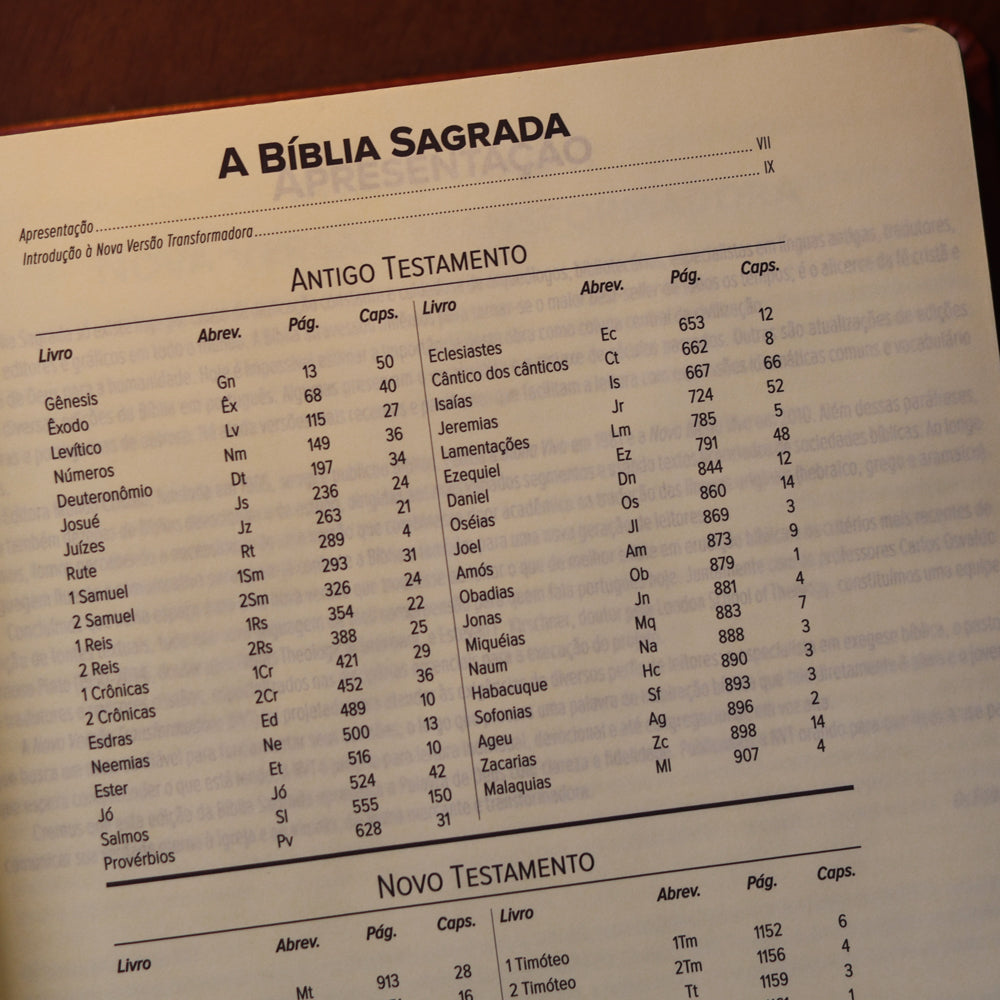 Bíblia Sagrada Leia e Anote Colossenses 1:19 | NVT | Letra Grande | Capa Luxo Bordô
