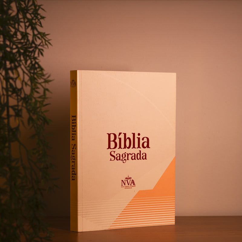 Bíblia Sagrada Minimalista | NVA | Full Color | Capa Brochura