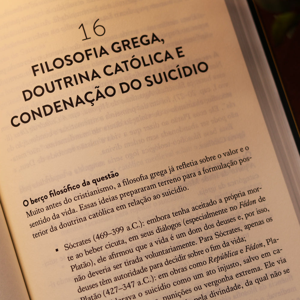 Pássaros de Jatinga | Rubens Cirqueira