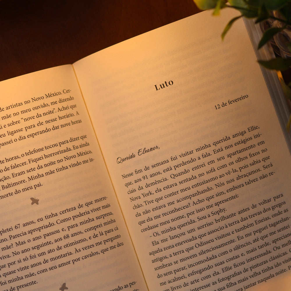 A Dor e a Delícia de Envelhecer | Sophy Burnham