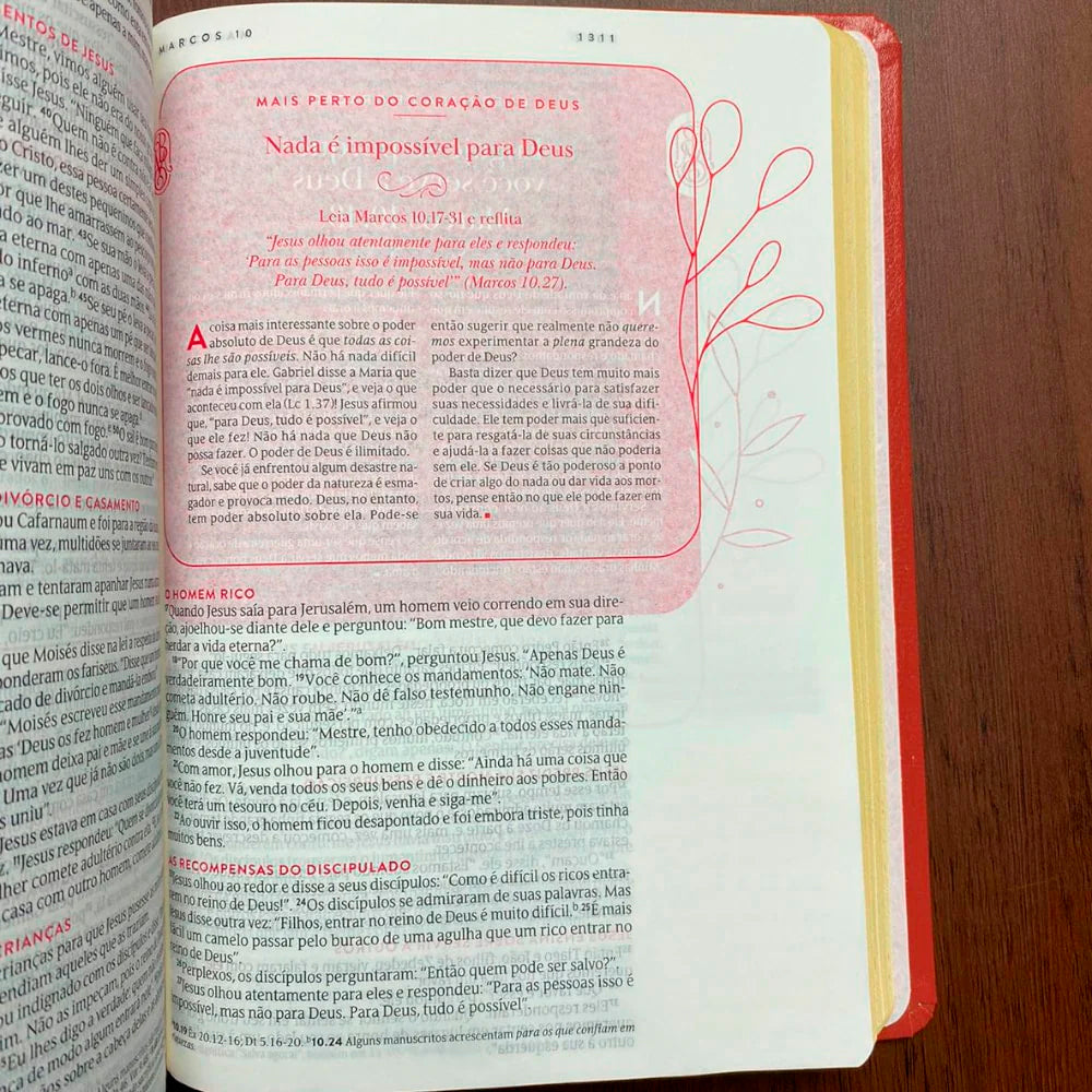 Kit A Bíblia da Mulher que Ora | Edição Expandida | NVT | Letra Normal | Vinho + O Poder da Mãe Que Ora | Stormie Omartian