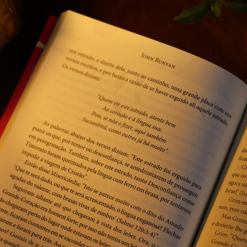 A Peregrina | John Bunyan
