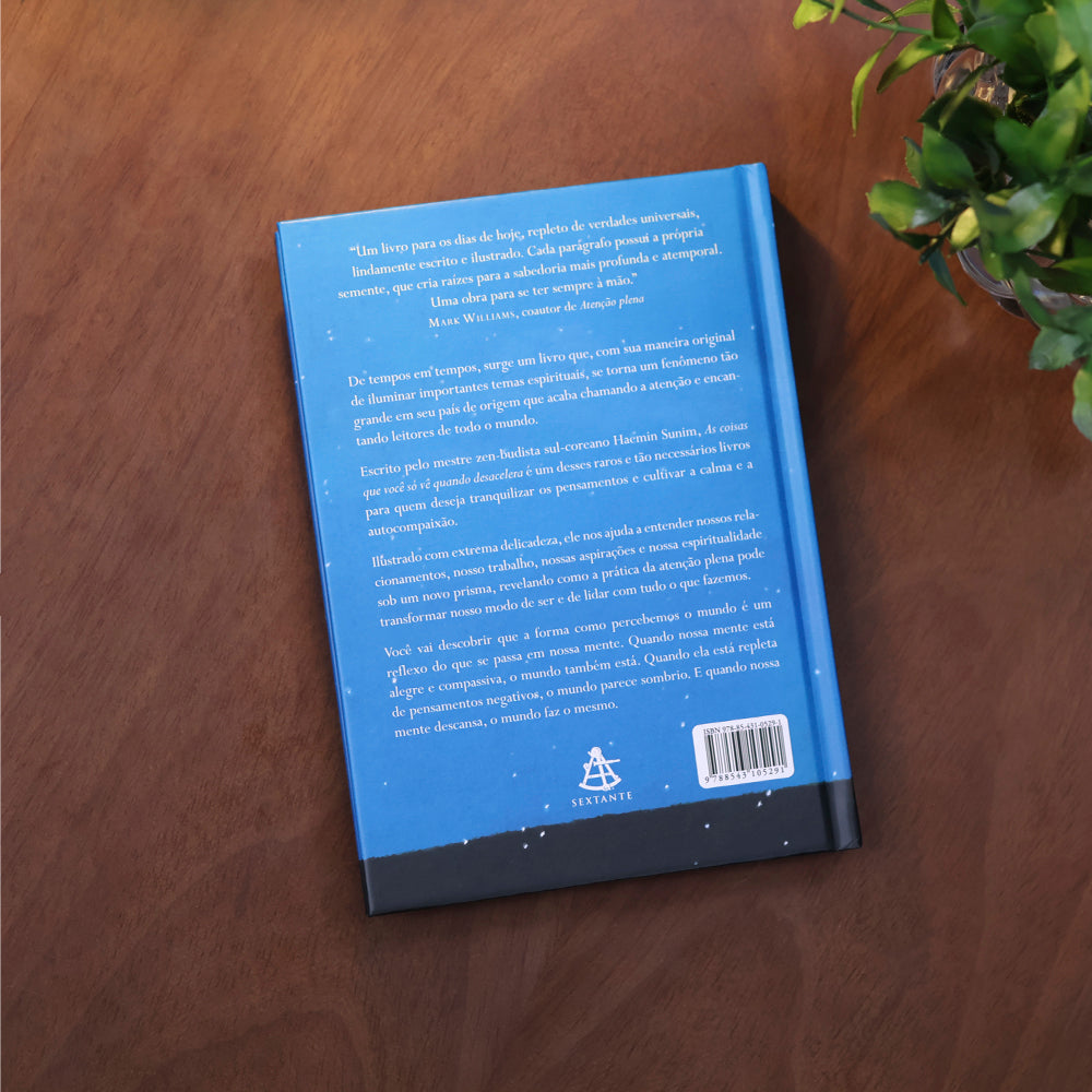 As Coisas Que Você Só Vê Quando Desacelera | Haemin Sunim
