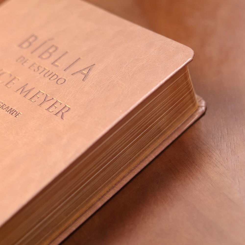 Bíblia De Estudo Joyce Meyer | NVI | Letra Grande | Capa Marrom Claro
