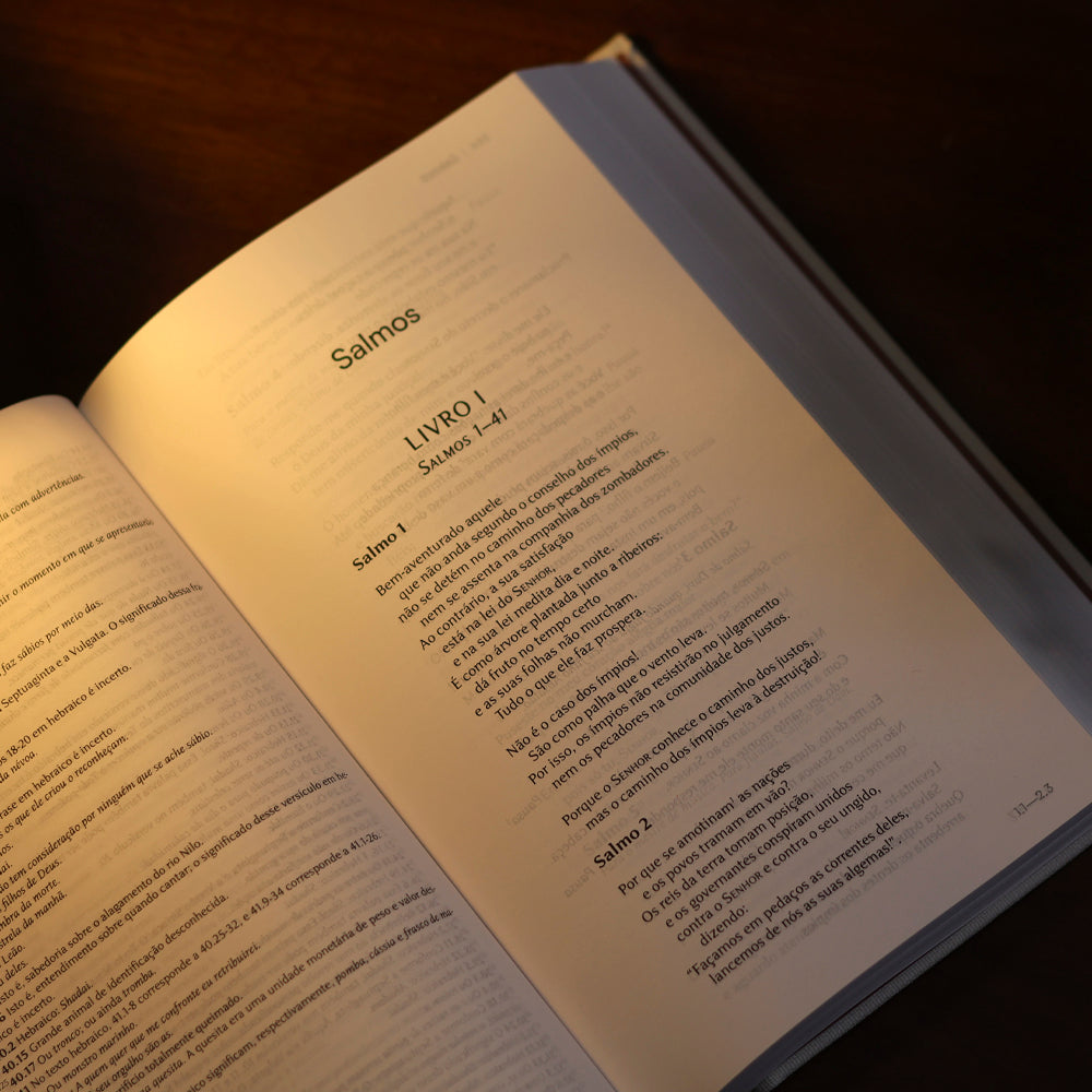 Bíblia Lectio | NVI | Capa Dura Tecido