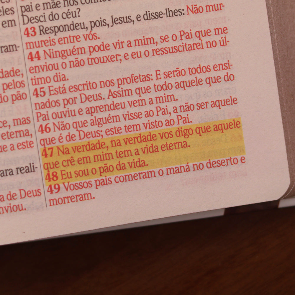 Bíblia Sagrada | ARC | Harpa Avivada e Corinhos | Jumbo | Capa Dura Pássaros