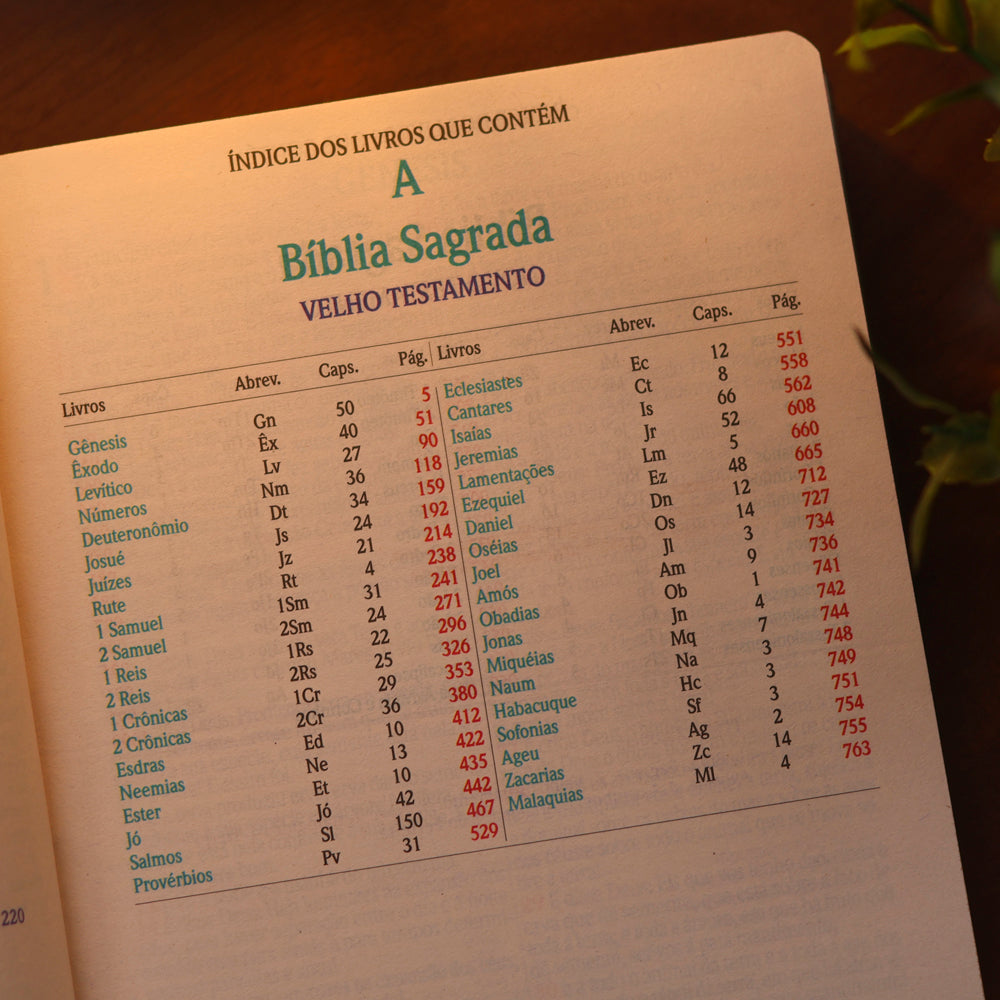 Bíblia Sagrada | ARC | Harpa Avivada e Corinhos | Jumbo | Capa Dura Pássaros