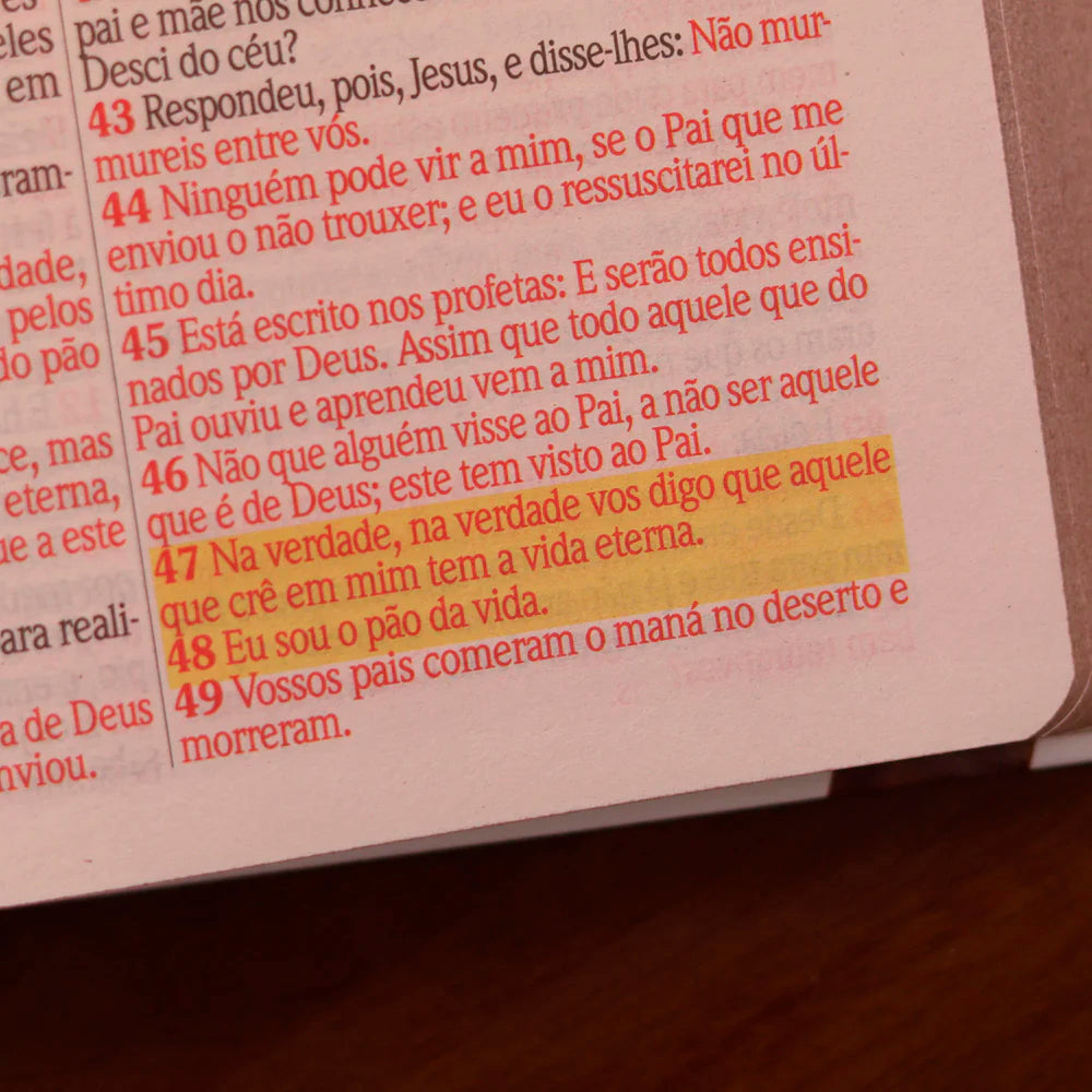 Bíblia Sagrada | ARC | Harpa Avivada e Corinhos | Jumbo | Capa Dura Preta