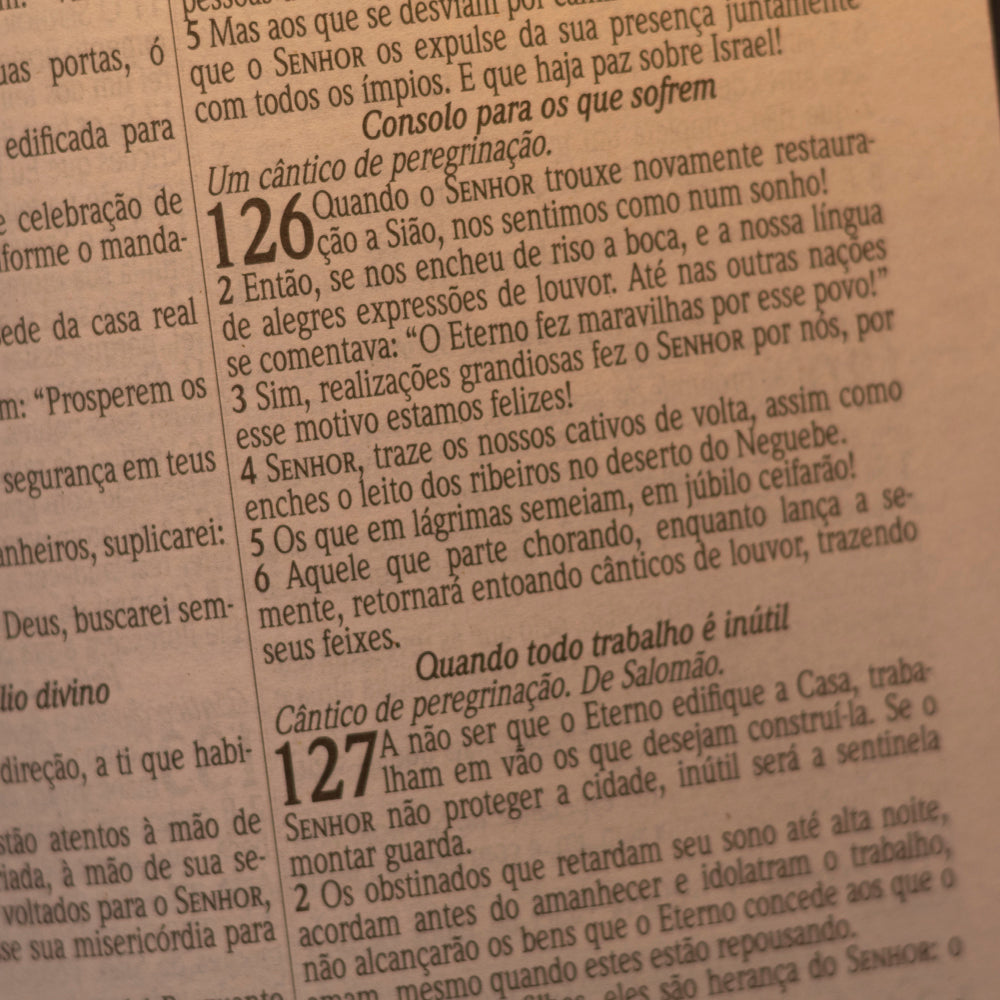 Bíblia Sagrada Arabesco e Cruz | KJA | Letra Maior| Capa Dura