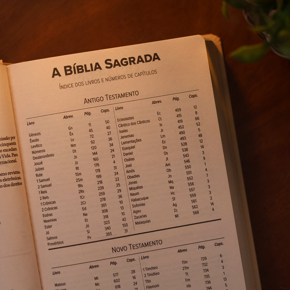 Bíblia Sagrada Cordeiro e Leão | NVI | Letra Normal | Capa Dura