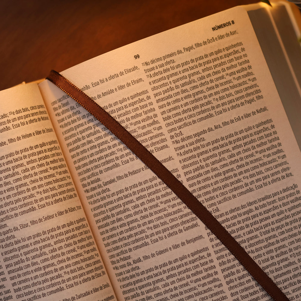 Bíblia Sagrada Cordeiro e Leão | NVI | Letra Normal | Capa Dura