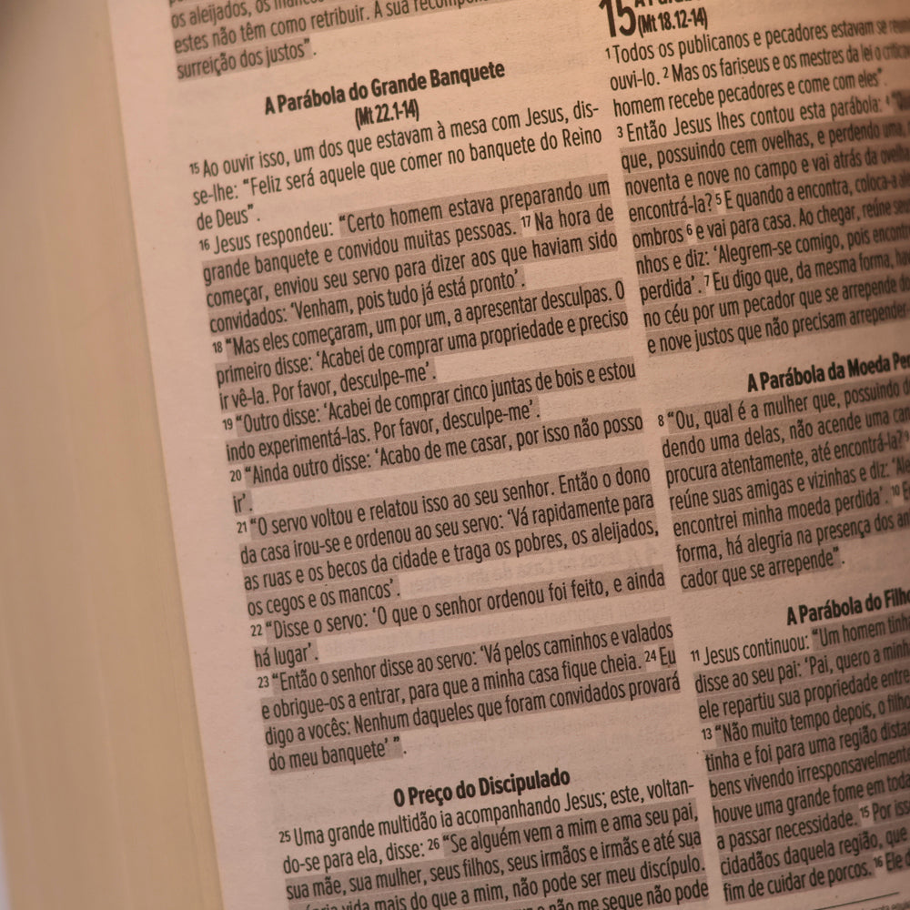 Bíblia Sagrada Cordeiro e Leão | NVI | Letra Normal | Capa Dura
