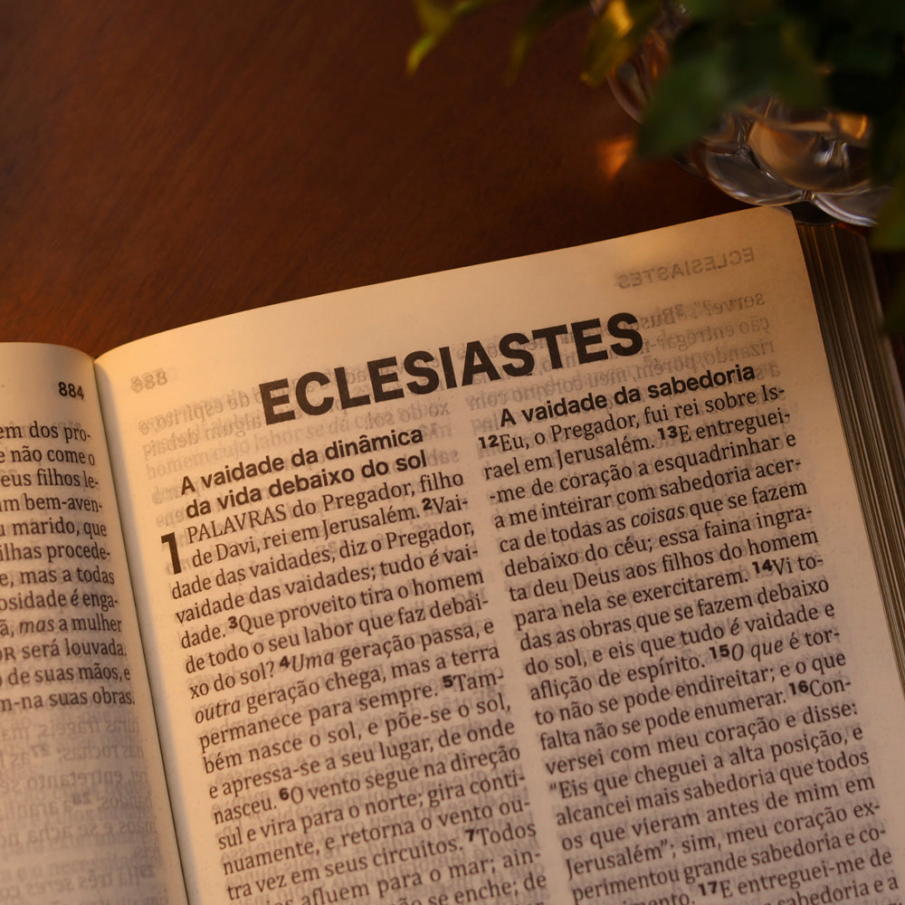 Bíblia Sagrada King James | KJC | Letra Extra Grande | Capa Dura Rosa