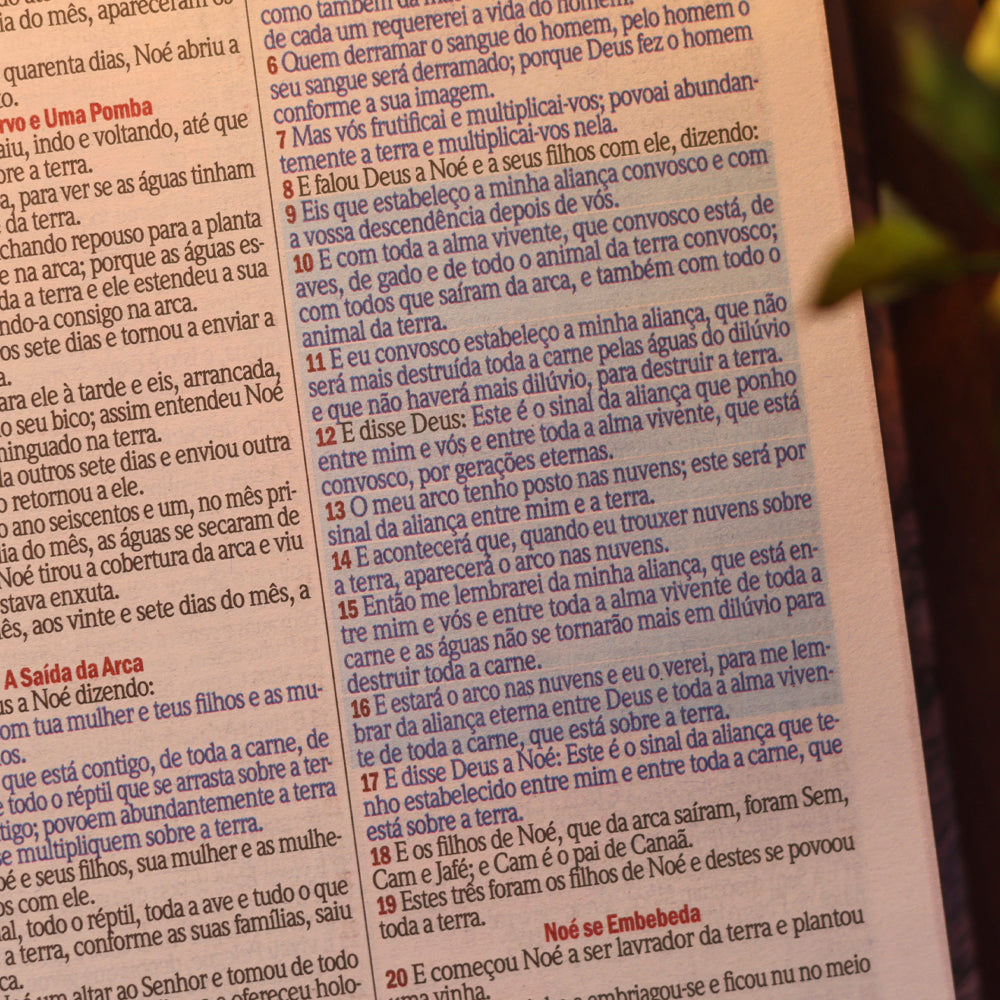 Bíblia Sagrada Leão Yeshua | ARC | Letra Maior | Harpa e Corinhos | Capa Dura