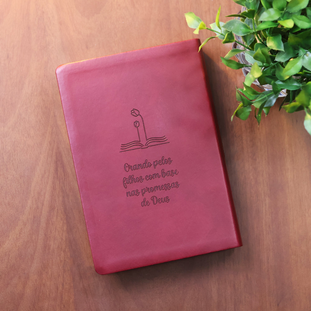 Bíblia Sagrada Mães da Aliança | ARA | Letra Normal | Capa Luxo Vinho Marfim